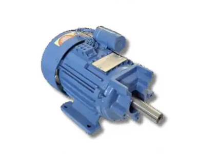 Flour Mill Motor